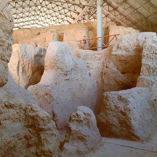 19622733 321260628300488 965961762895560704 n 600x600